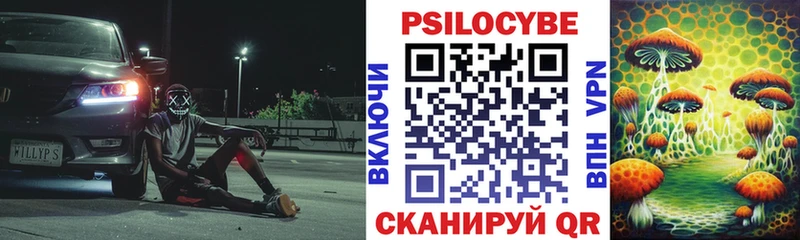 Псилоцибиновые грибы мицелий Черноголовка