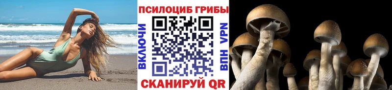 Галлюциногенные грибы Psilocybine cubensis shop состав Черноголовка мега ССЫЛКА